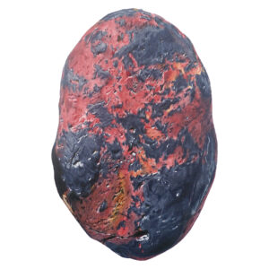 REU - FINE ART PRINT