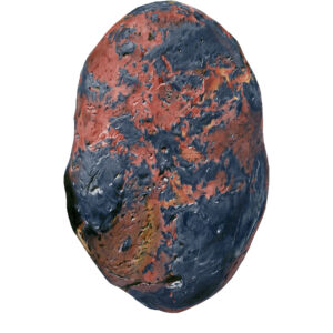 REU_21.13ºS, 55.53ºE